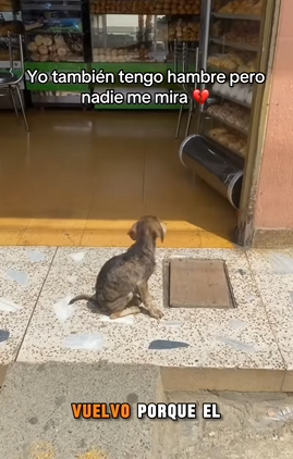 Yo también tengo hambre pero nadie me mira (Part 2)