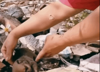 Cayó herido…Su madre lloraba pero nadie lo ayudó (Part 2)