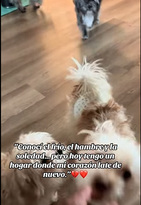 Conocí el frío el hambre la soledad,pero hoy tengo un hogar donde (part1)