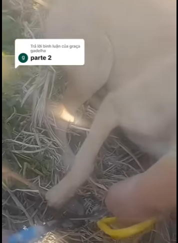 Wild or tame, every life matters (Part 2)