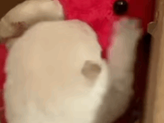 “Me tiraron al pantano… solo por ser fea” (Parte 2)