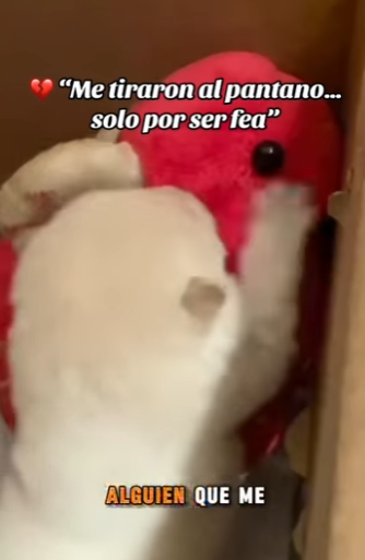 “Me tiraron al pantano… solo por ser fea” (Parte 2)