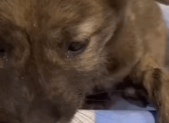 “Fui arrojado a la carretera… y aún escucho el sonido del golpe” (Parte 2)