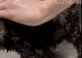 Encerraron mi cabeza en un coco… y me abandonaron en la alcantarilla (Parte 2)