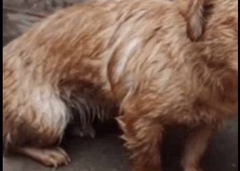 “Corrí de los golpes… buscando un lugar donde no me lastimen” (Part 2)