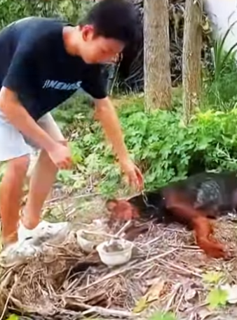 The owner moved and abandoned the dog in his hometown (Part 2)