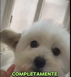 Porqué todos los que me ven deslizan (Parte 2)