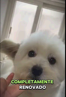 Porqué todos los que me ven deslizan (Parte 2)