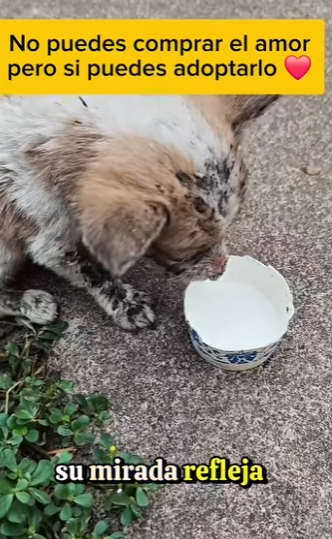 Quien puede abandonar algo tan lindo (Parte 2)