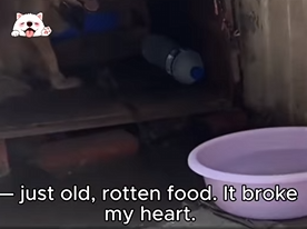 Chains to Loving Arms (Part 2)