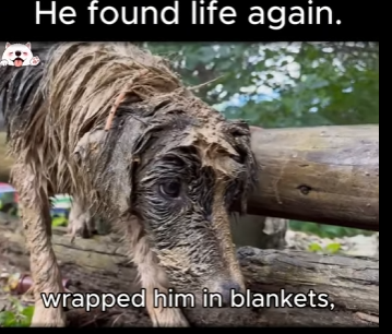 mud storm he found life again (Part 2)