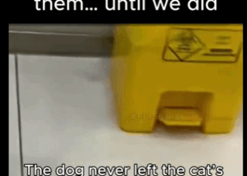 No one stopped them until we did (Part 2)