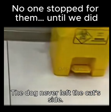 No one stopped them until we did (Part 2)