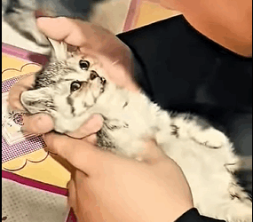 “Every life matters — big or small (Part 2)