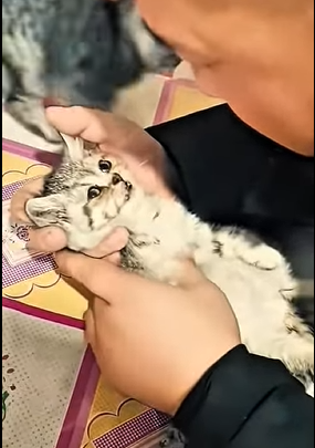 “Every life matters — big or small (Part 2)