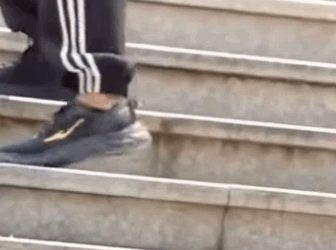 rescate de un cachorro de oso negro (Parte 2)