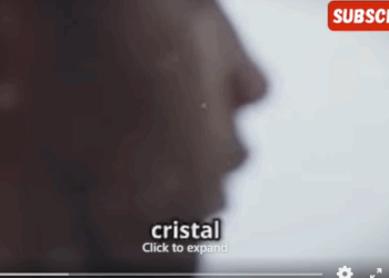 Perrito llora cuando un persona intenta acercarse él (Parte 2)