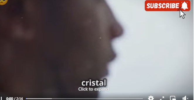 Perrito llora cuando un persona intenta acercarse él (Parte 2)