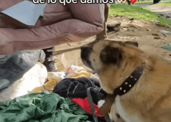 H1011001 Que linda quedo con su camita nueva (Parte 1)