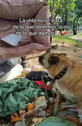 H1011001 Que linda quedo con su camita nueva (Parte 1)