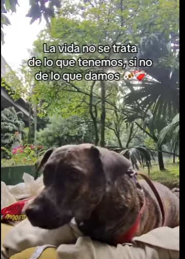 H1011004 Que felicidad verlo en su nueva casita (Parte 2)