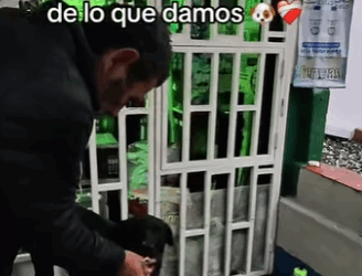 H1011003 Qué lindo verlo de feliz en su casita (Parte 2)