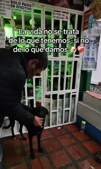 H1011003 Qué lindo verlo de feliz en su casita (Parte 2)