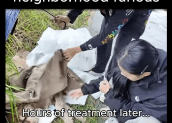 A1011004 Acaban de tirar a su perro desde el balcón (Parte 2)