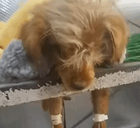 En una calle ruidosa, nadie le prestó atención (Parte 2)