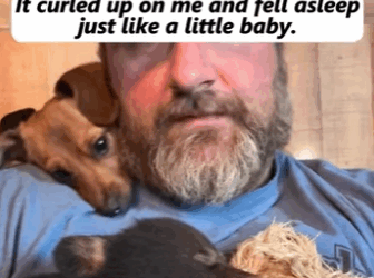 R1111001 Abandonado, pero nunca olvidado (Parte 2)