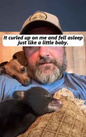 R1111001 Abandonado, pero nunca olvidado (Parte 2)