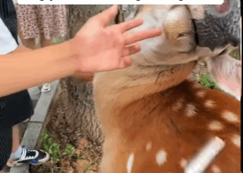 R1111002 Una segunda oportunidad cambió su vida (Parte 2)