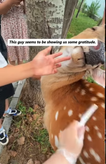 R1111002 Una segunda oportunidad cambió su vida (Parte 2)