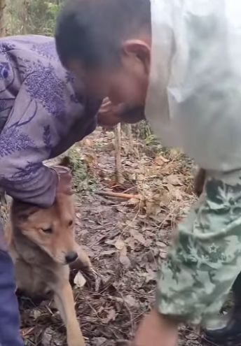 E1011002 Este gatito abandonado encontró calor y seguridad gracias al rescate. (Parte 2)