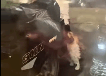 E1011004 Hoy ayudamos a un perrito a dejar atrás la soledad y el miedo (Parte 2)