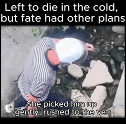 A1111006  Pequeño, asustado… pero fuerte. (Parte 2)