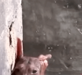 Encadenado en la oscuridad… esperando morir solo (Part 2)