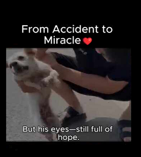 A1111001  Lo dejaron solo, nosotros no (Parte 1)