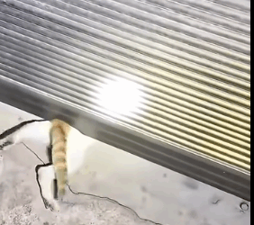 U1111002  La esperanza tiene nombre: rescate. (Parte 2)