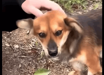 E1011005 Sus ojos antes tristes ahora reflejan alegría y confianza (Parte 2)