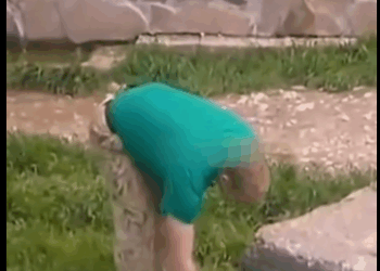 R1211009 Leones rescatados