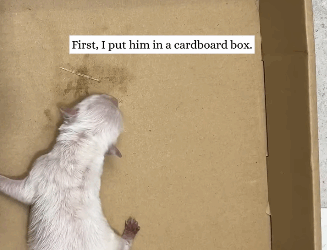 R1211001Lo abandonaron, pero no perdió la fe (Parte 2)