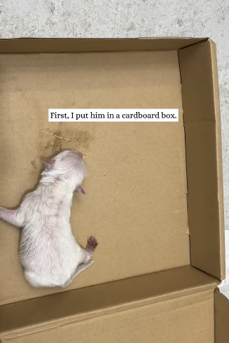 R1211001Lo abandonaron, pero no perdió la fe (Parte 2)