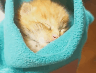 R1211002 Un corazón roto… y una segunda oportunidad (Parte 2)