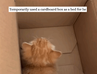 R1211003 Nadie lo quería, hasta que lo encontramos (Parte 2)