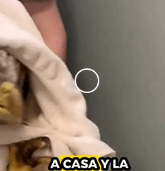 Salvando al águila calva (Part 2)