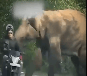 H1211004 ella solo estaba pidiendo ayuda (Parte 2)