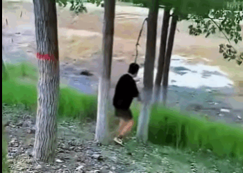 A1211004 Perro callejero que vive en el barro tiene el pelo endurecido por todo el cuerpo (Parte 2)