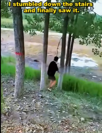 A1211004 Perro callejero que vive en el barro tiene el pelo endurecido por todo el cuerpo (Parte 2)