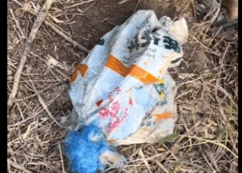 A1211006 Donde hay amor, hay un nuevo comienzo (Parte 2)